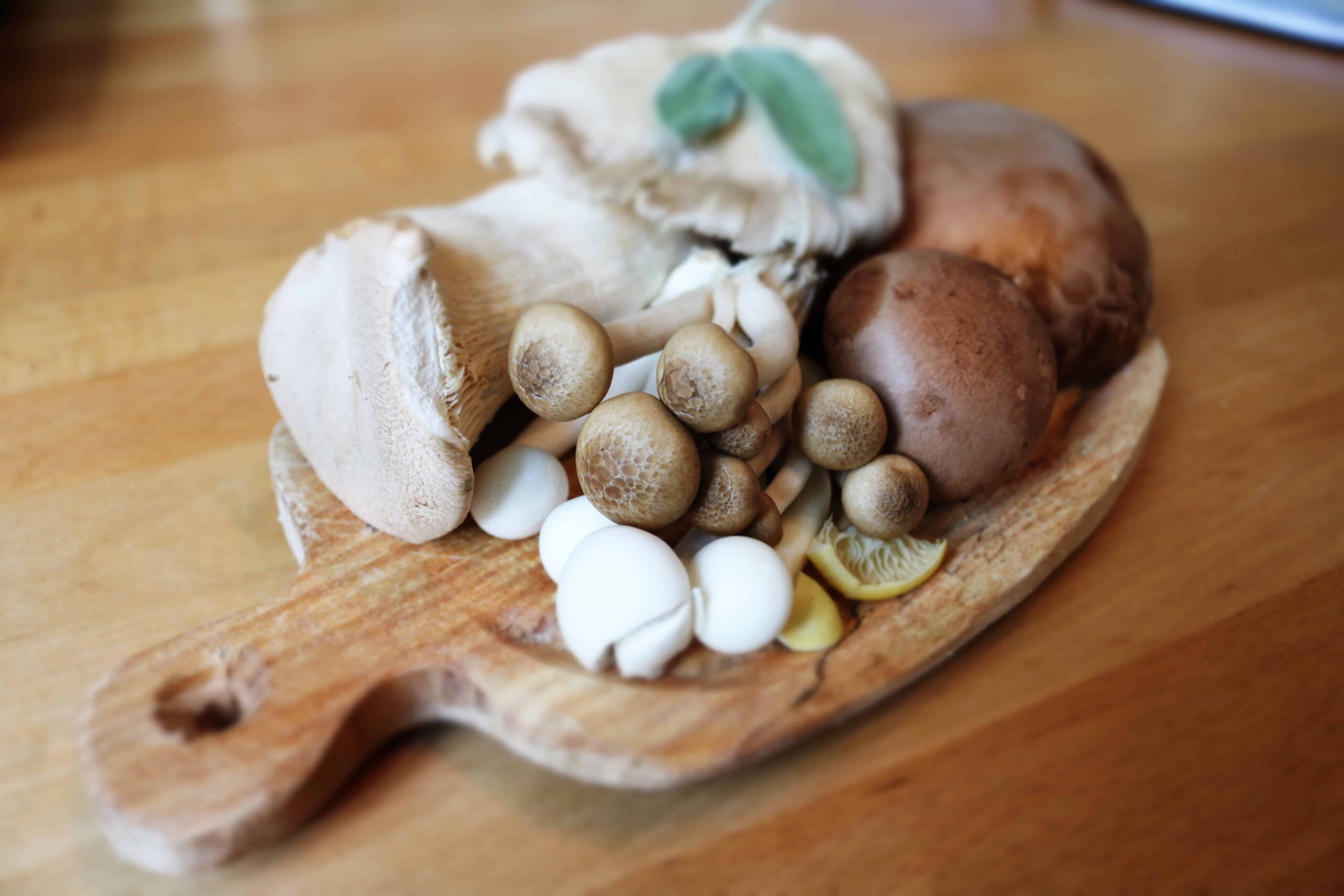paddenstoelen-gezond